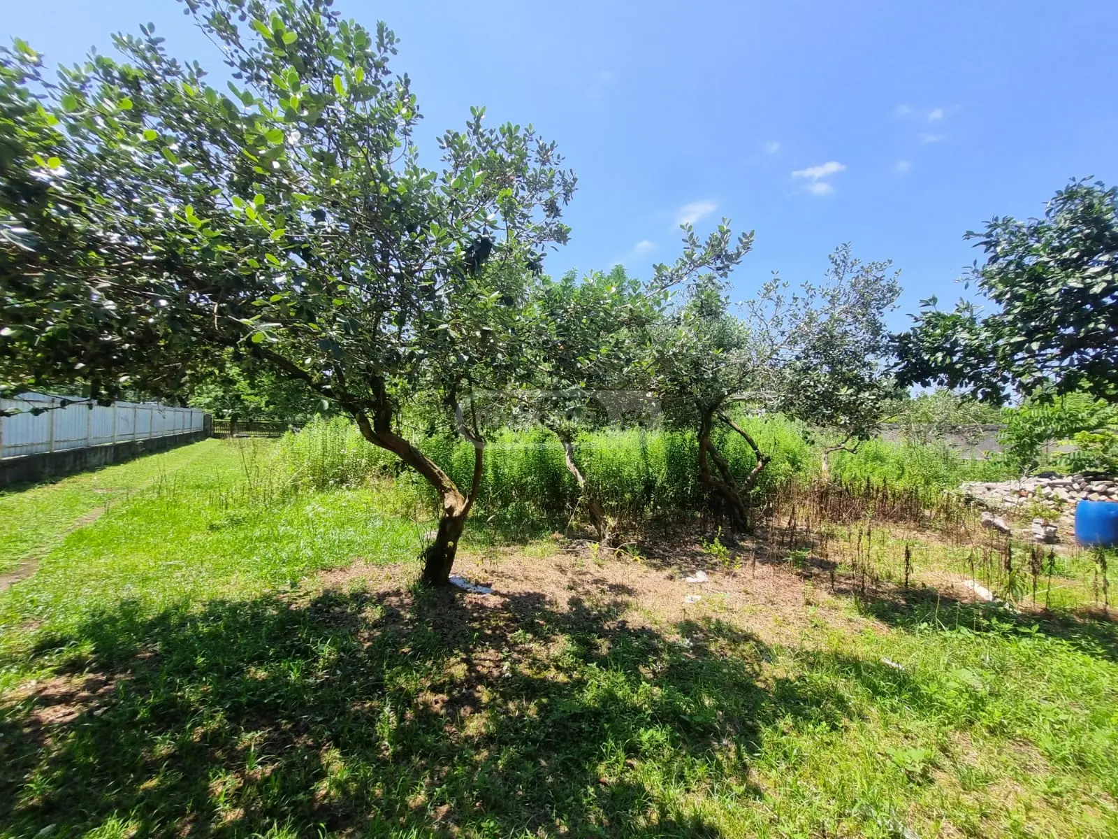 Non-Agricultural Plot For Sale In Foti view 3