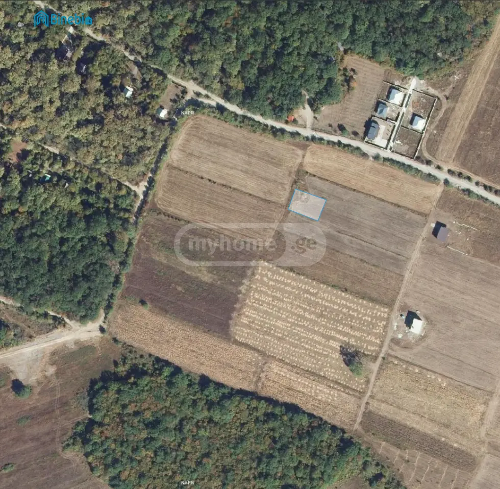 Agricultural Plot For Sale In Gudauri view 1