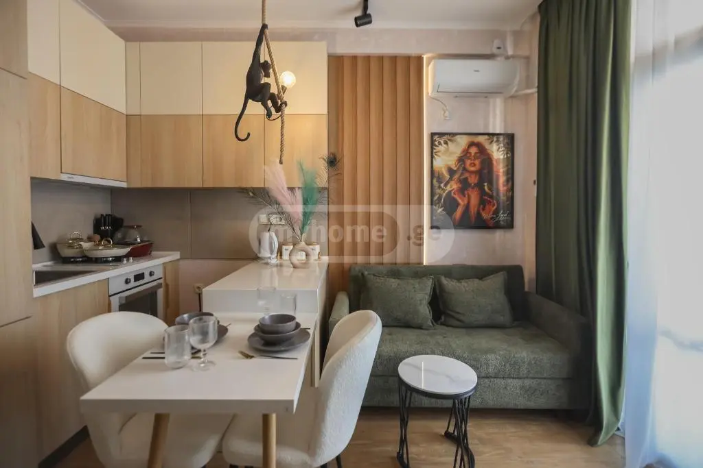 2 Room Apartment Daily Rent In Digomi view 7