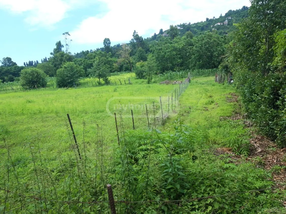 Non-Agricultural Plot For Sale In Chaqvi, In Kobuleti Municipality view 8