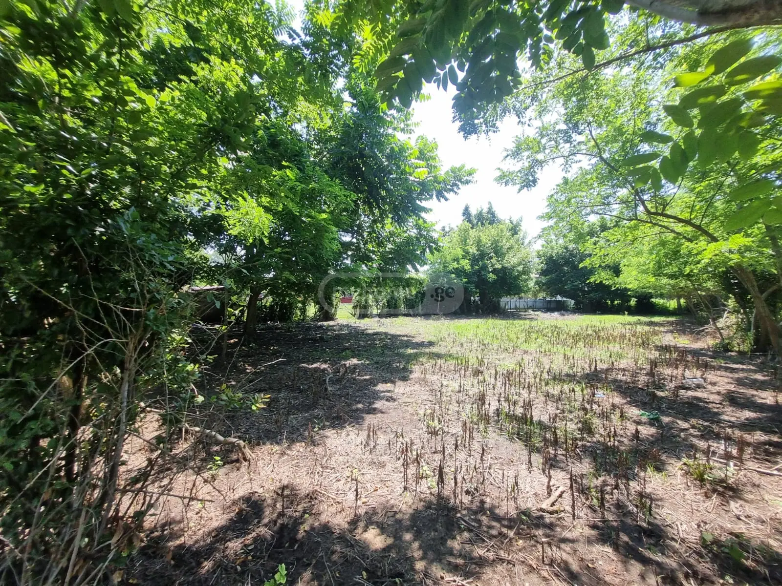 Non-Agricultural Plot For Sale In Foti view 7
