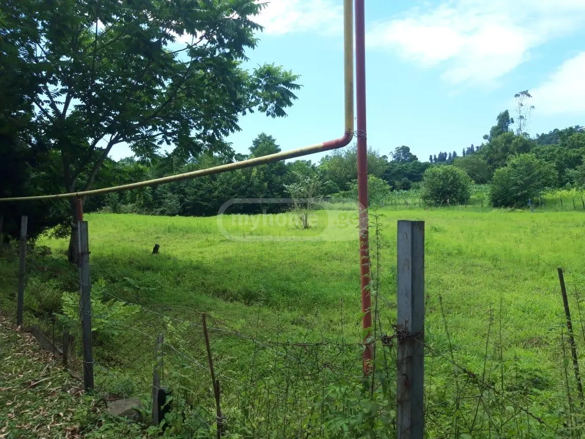 Non-Agricultural Plot For Sale In Chaqvi, In Kobuleti Municipality view 13