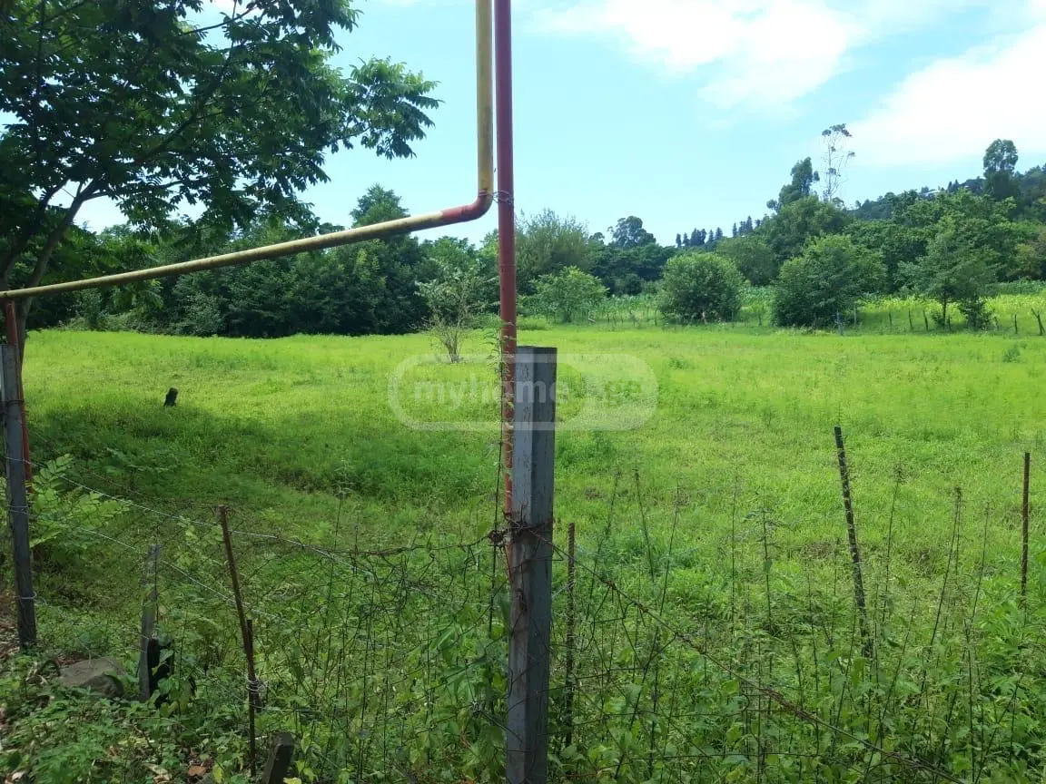 Non-Agricultural Plot For Sale In Chaqvi, In Kobuleti Municipality view 9