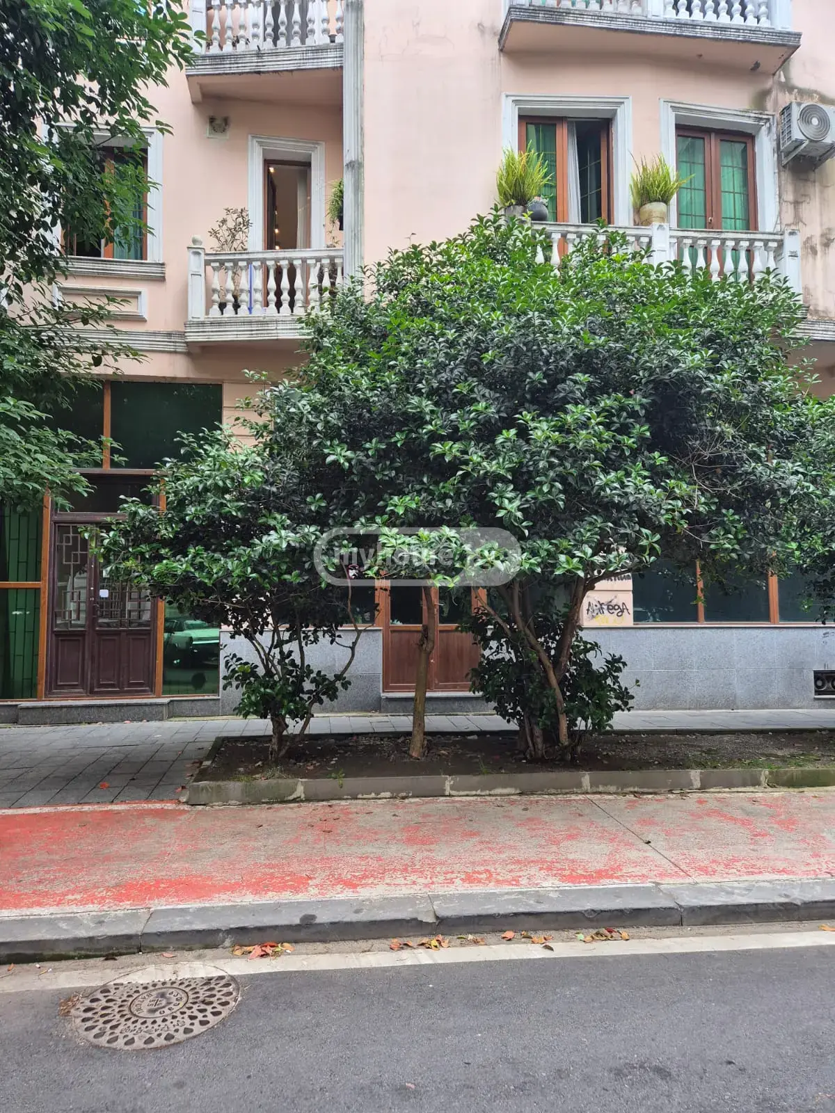 Universal Commercial Area For Sale In Batumi view 5