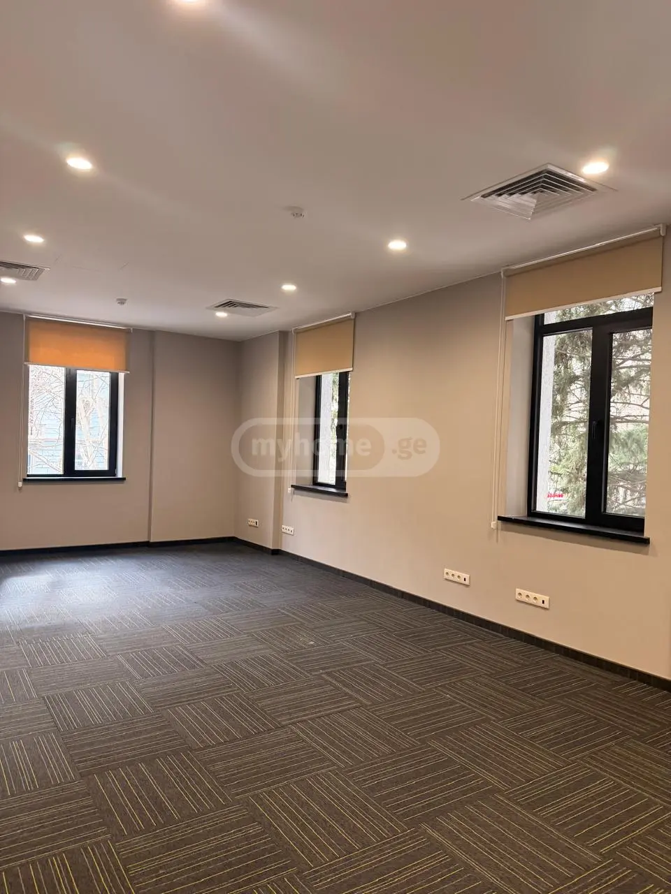 Office Commercial Area For Rent In Tskneti view 10