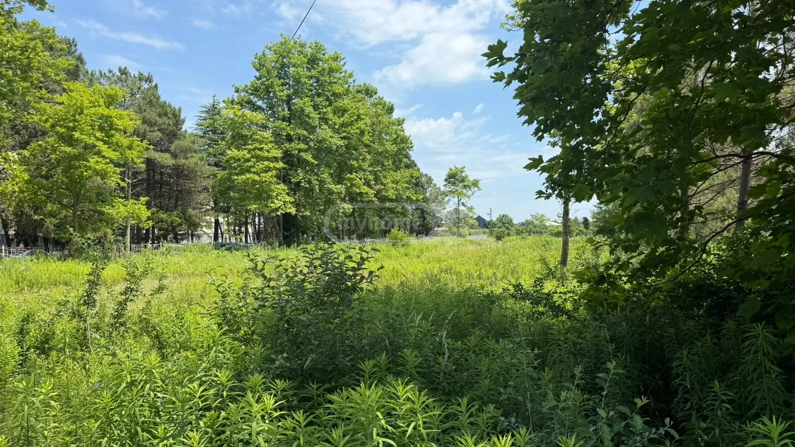 Non-Agricultural Plot For Sale In Foti view 2
