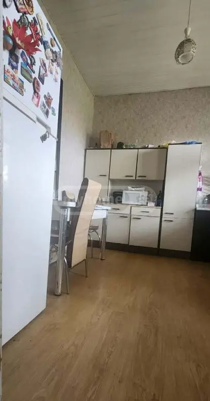 5 Room Country House For Rent In Lisi Lake view 8