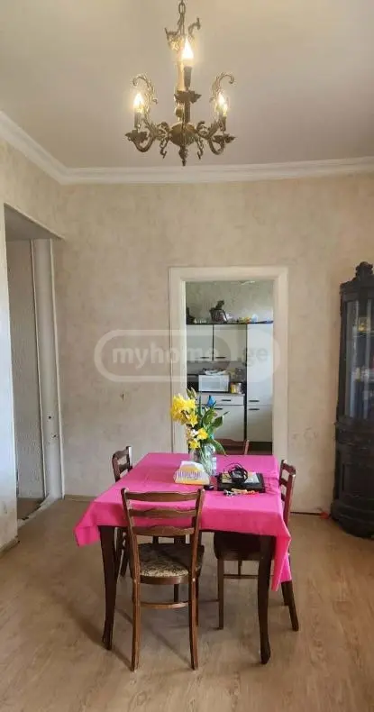 5 Room Country House For Rent In Lisi Lake view 4