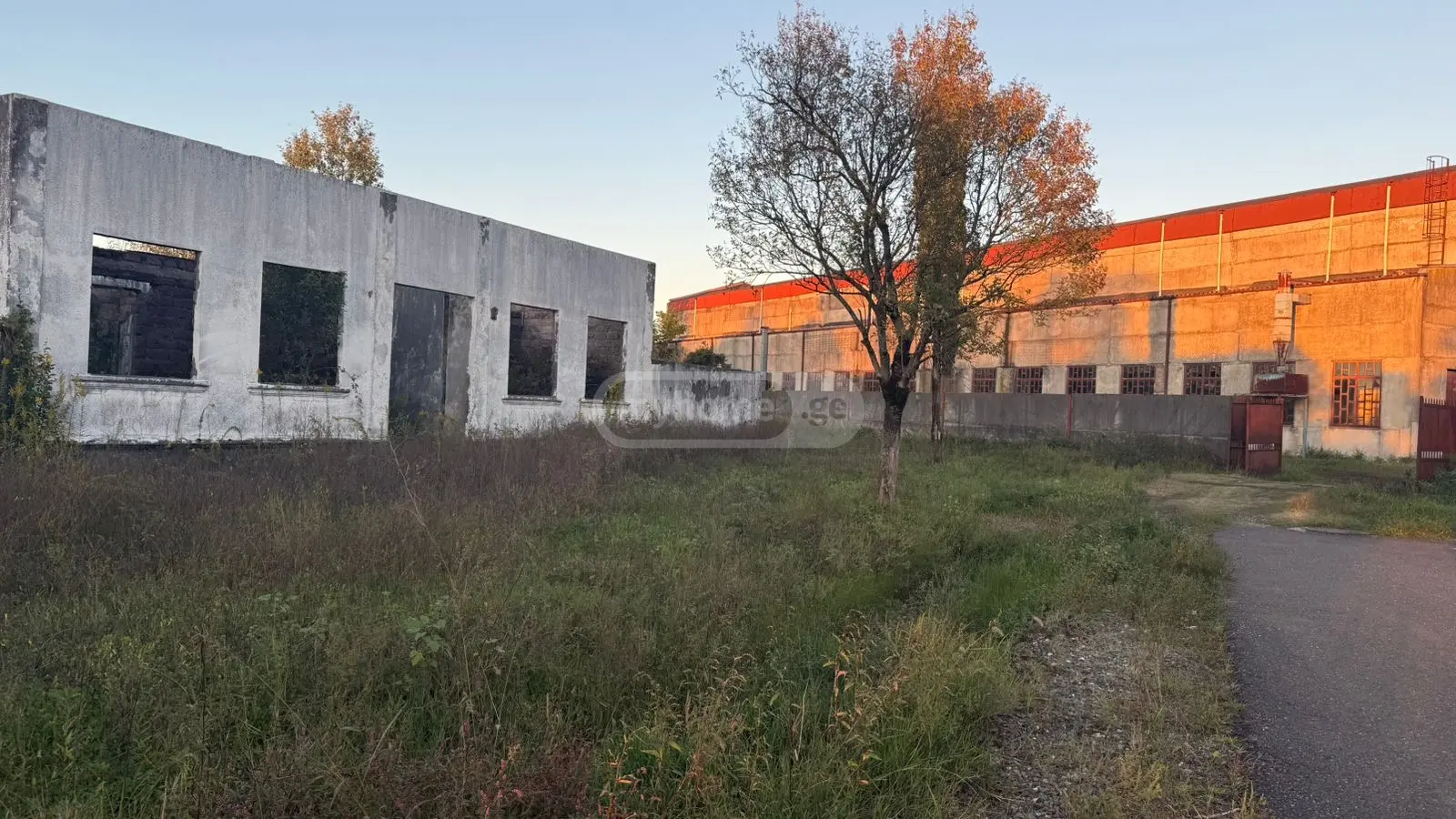 Non-Agricultural Plot For Sale In Foti view 2