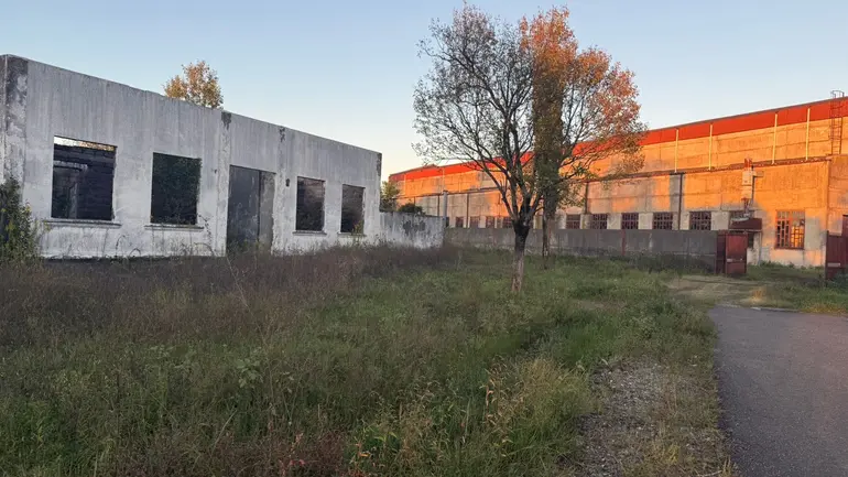 building