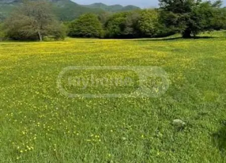 იყიდება Agricultural Plot In Tetritskaroში view 1