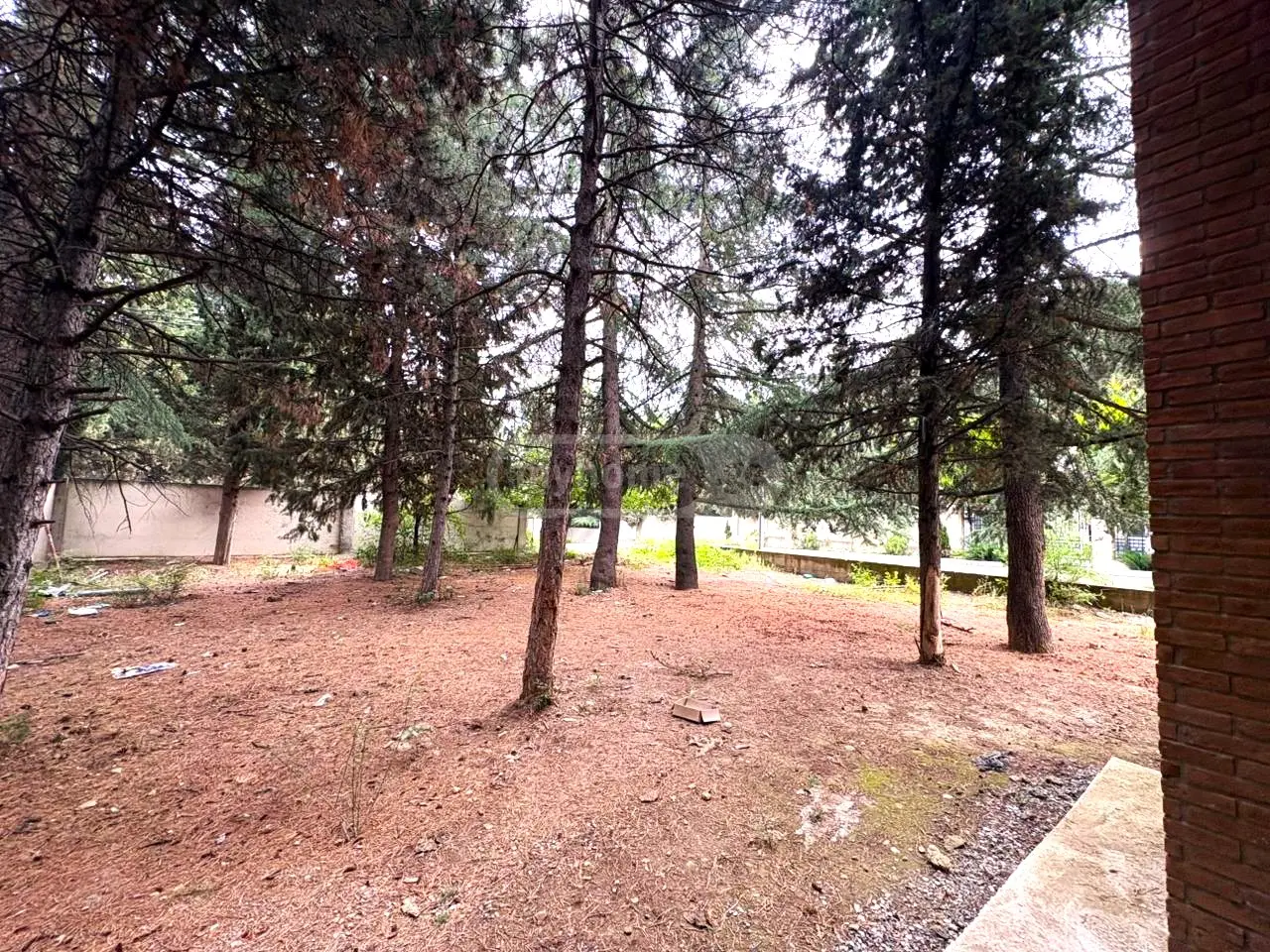 Продажа 10+ Room Country House в In Kaklebi view 1