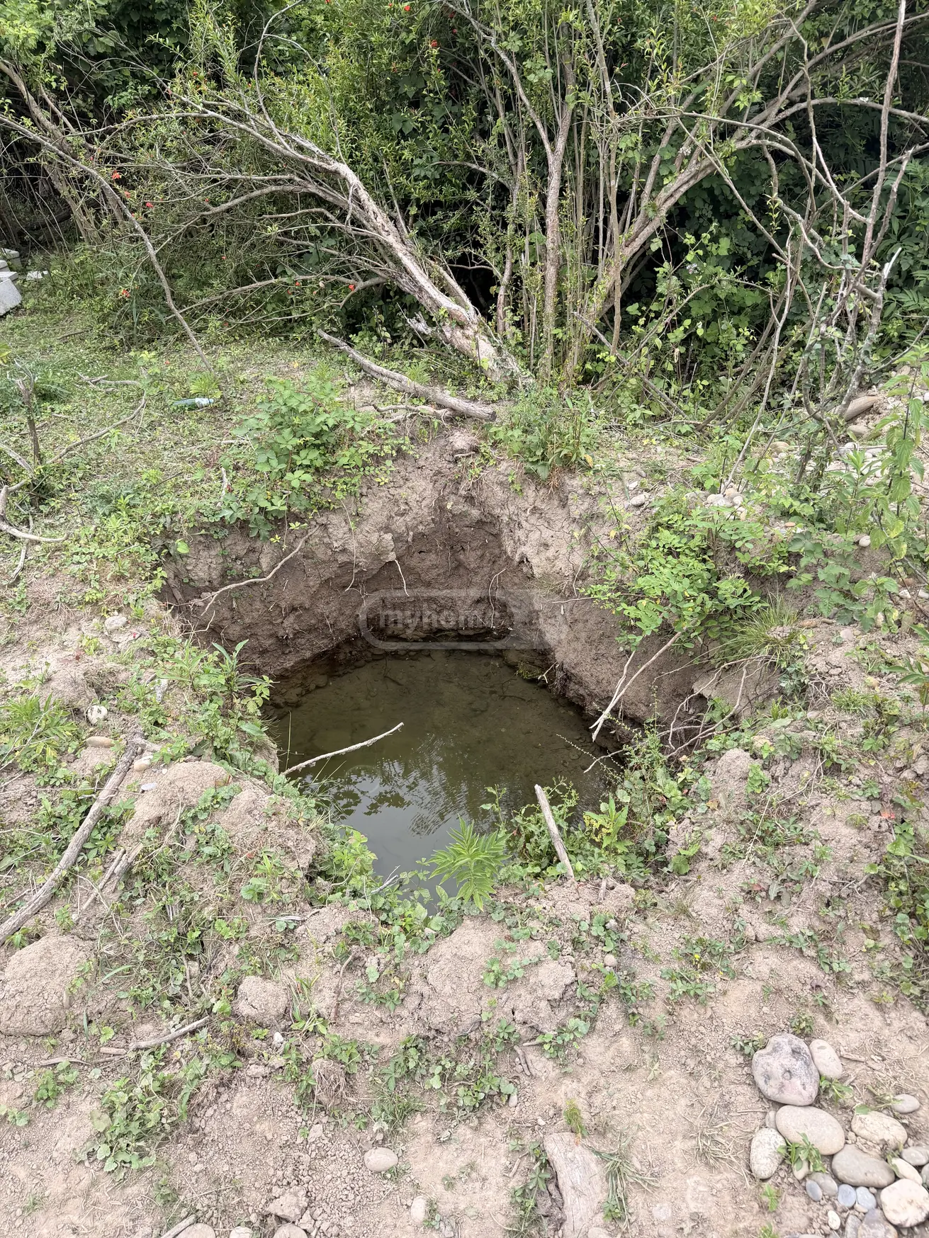 იყიდება Agricultural Plot In Opshkviti, In Tskaltubo Municipalityში view 5