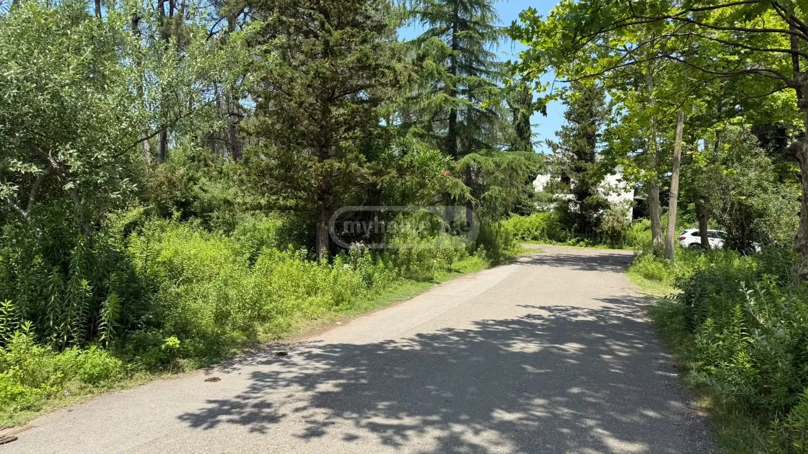 Non-Agricultural Plot For Sale In Foti view 1