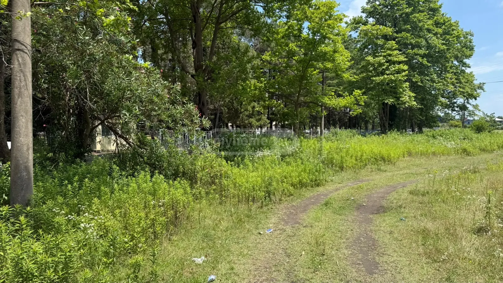 Non-Agricultural Plot For Sale In Foti view 4