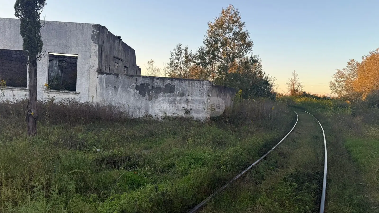 Non-Agricultural Plot For Sale In Foti view 4