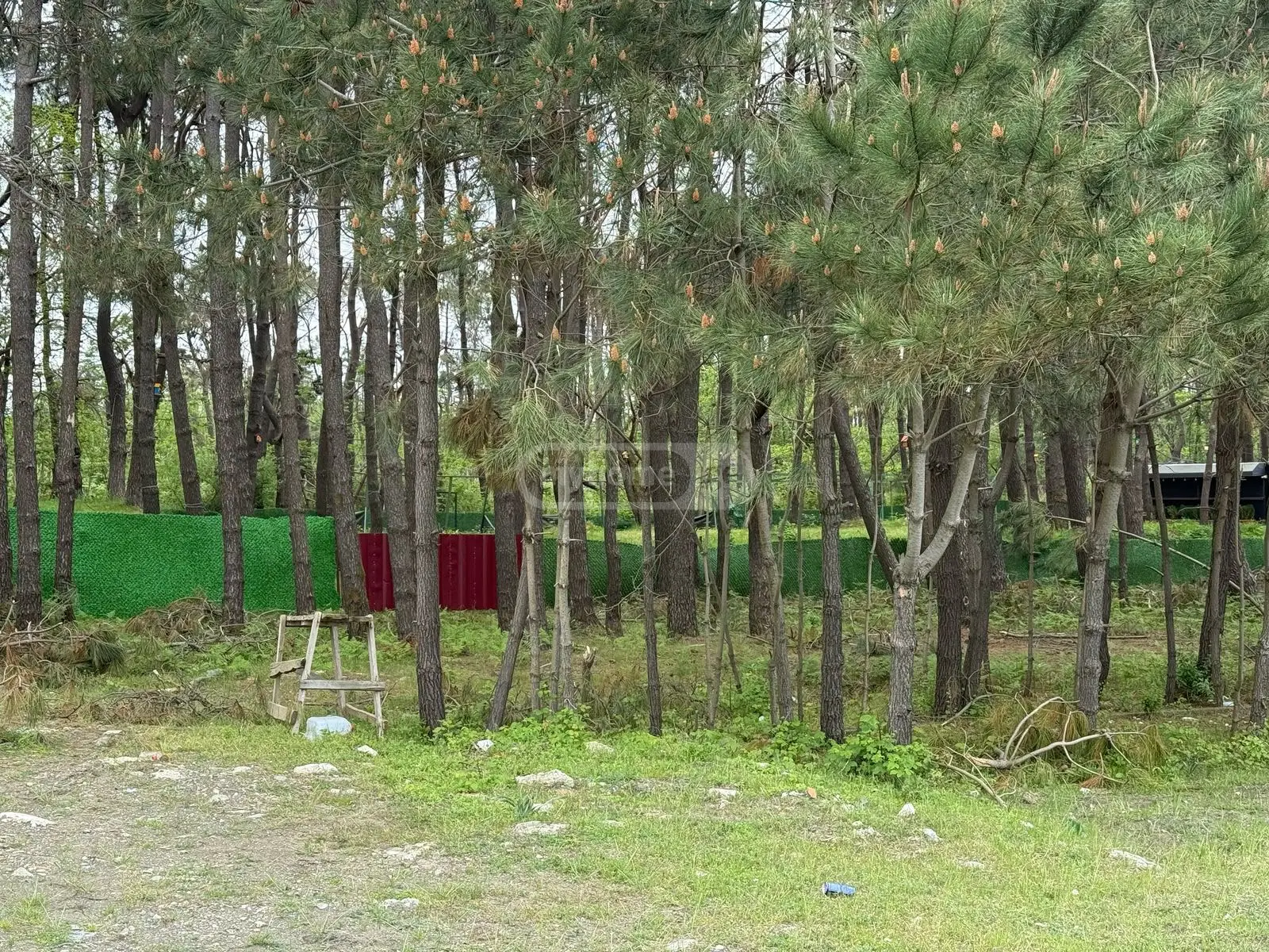 Non-Agricultural Plot For Sale In Shekvetili, In Ozurgeti Municipality view 4
