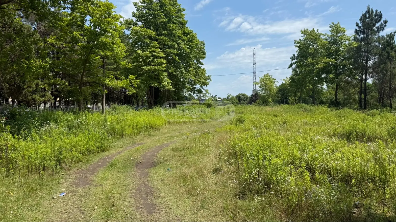 Non-Agricultural Plot For Sale In Foti view 3