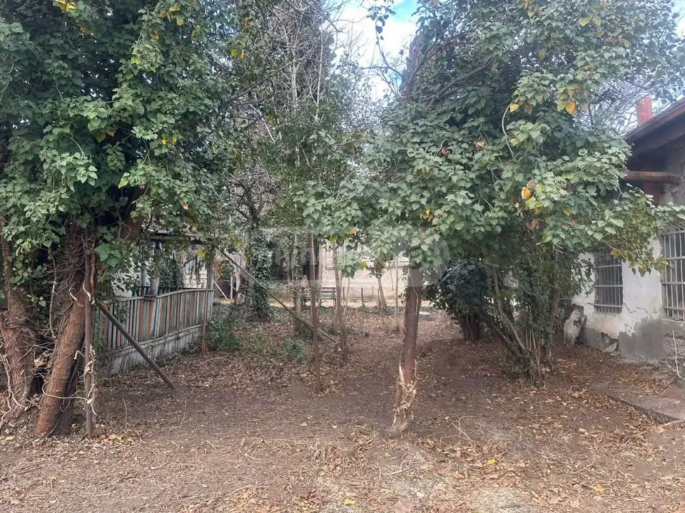 Non-Agricultural Plot For Sale In Isani view 3