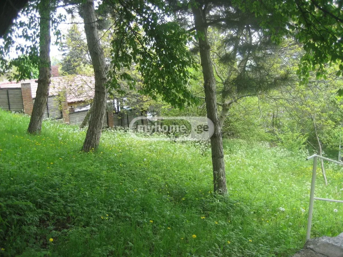 Full Building Commercial Area For Sale In Kojori view 2