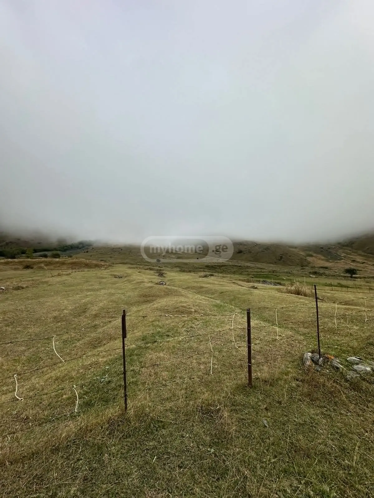 იყიდება Agricultural Plot In Kazbegiში view 2