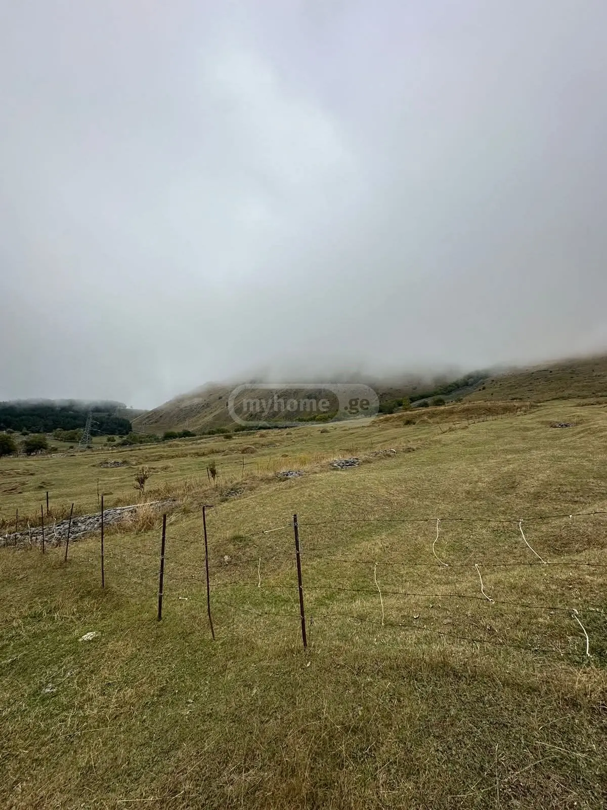 იყიდება Agricultural Plot In Kazbegiში view 5