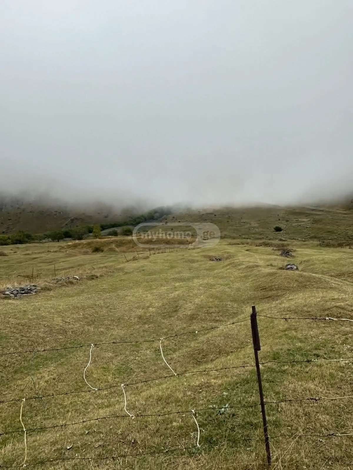 იყიდება Agricultural Plot In Kazbegiში view 4