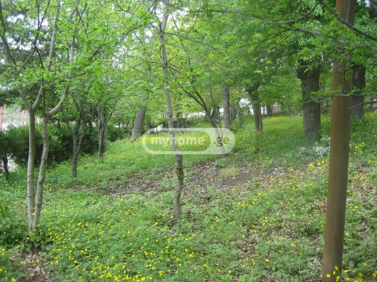 Full Building Commercial Area For Sale In Kojori view 8