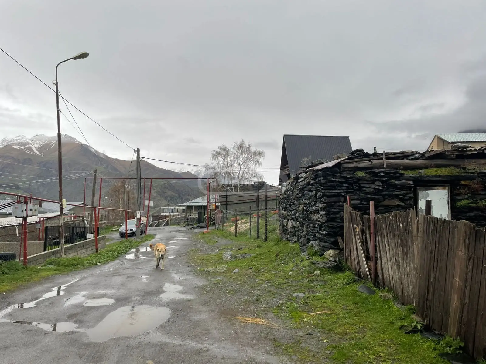 Agricultural Plot For Sale In Kazbegi view 3