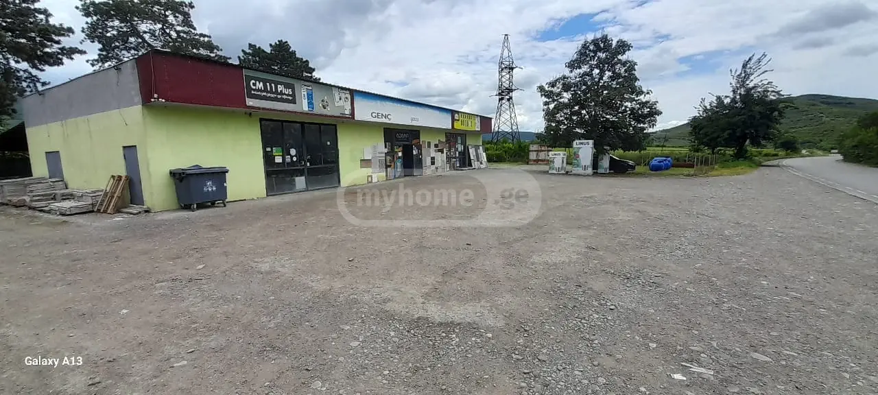 იყიდება Universal Commercial Area In Sagarejoში view 1