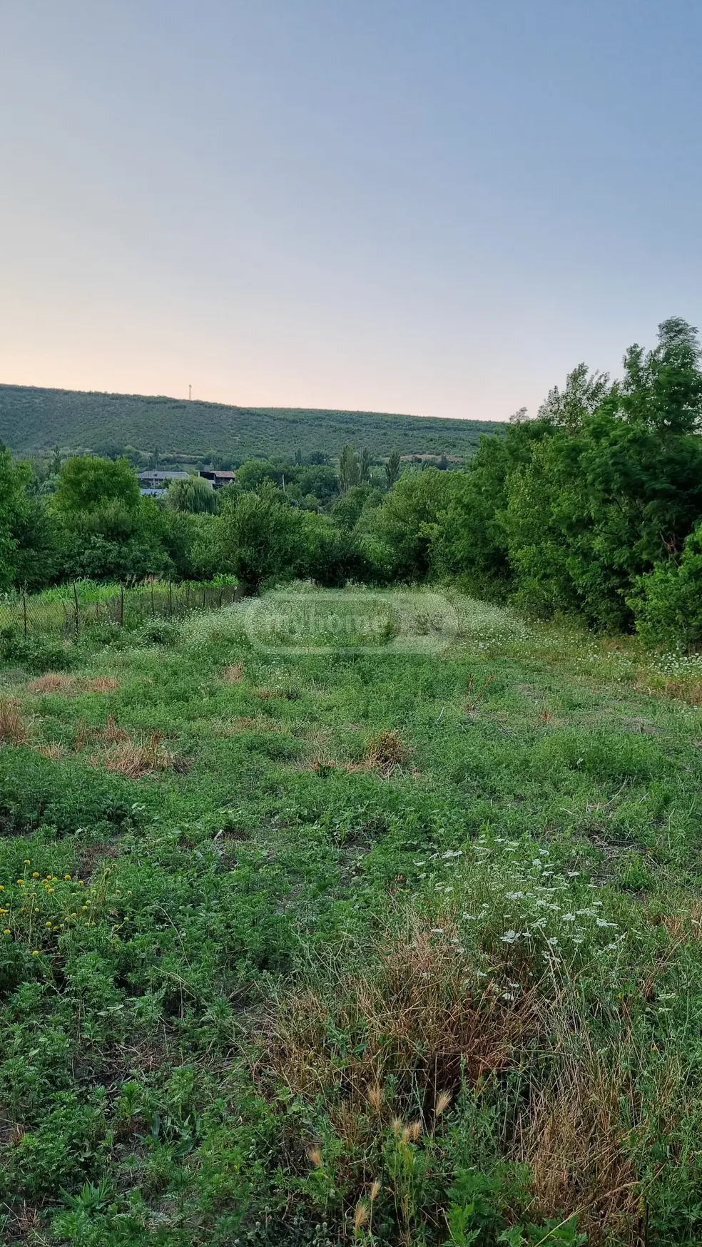 Agricultural Plot For Sale In Okami, In Kaspi Municipality view 2