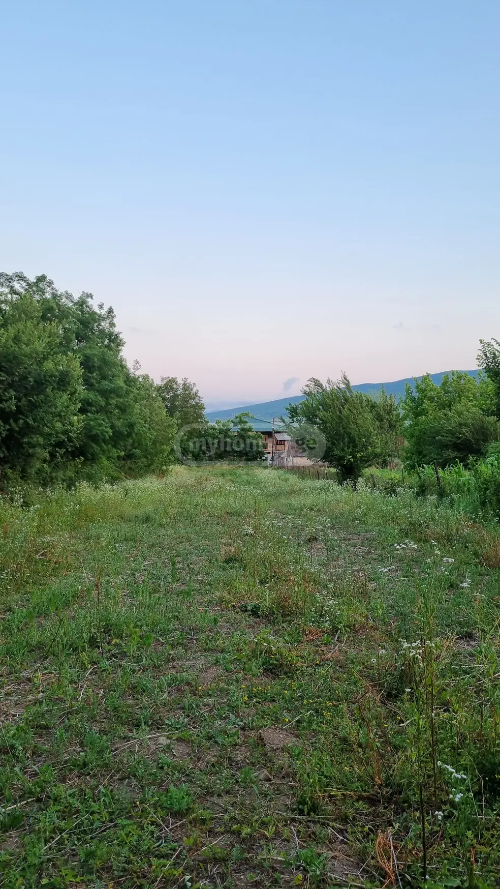 Agricultural Plot For Sale In Okami, In Kaspi Municipality view 3