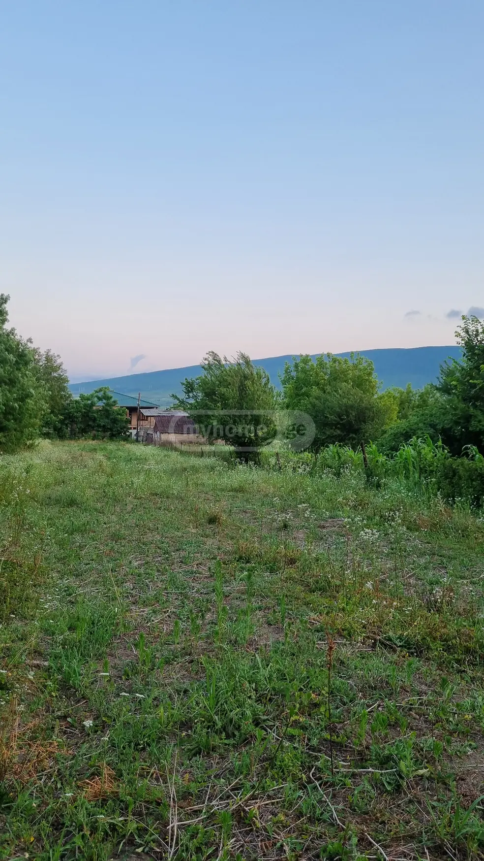 Agricultural Plot For Sale In Okami, In Kaspi Municipality view 5