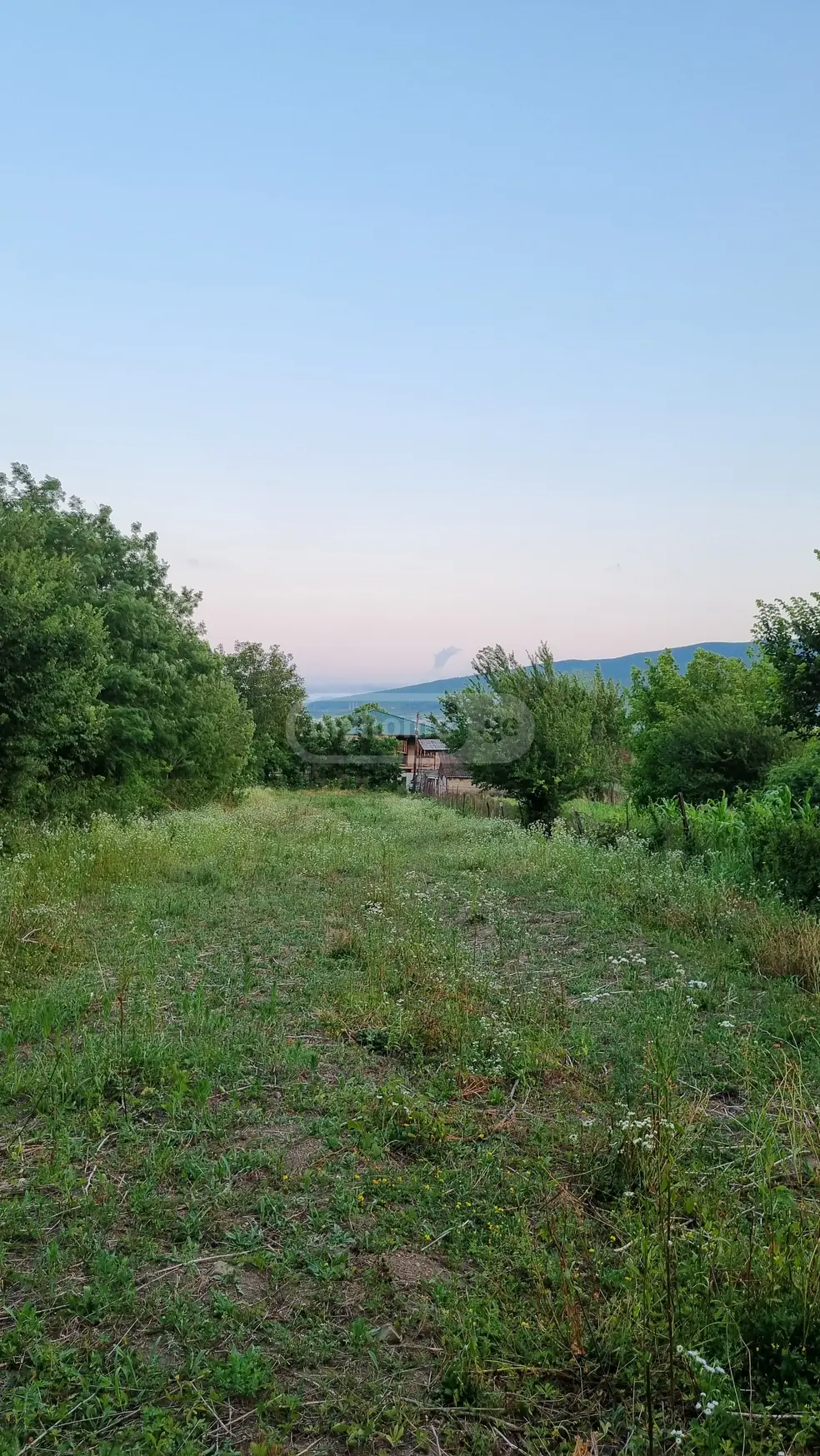 Agricultural Plot For Sale In Okami, In Kaspi Municipality view 4