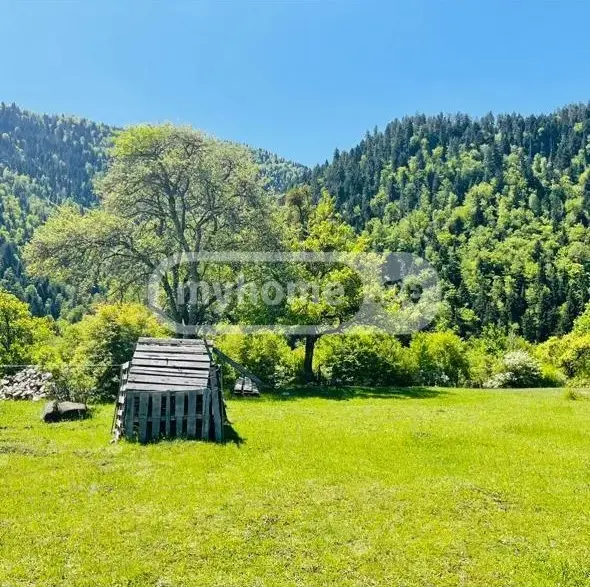 იყიდება Non-Agricultural Plot In Sadgeri, In Borjomi Municipalityში view 2