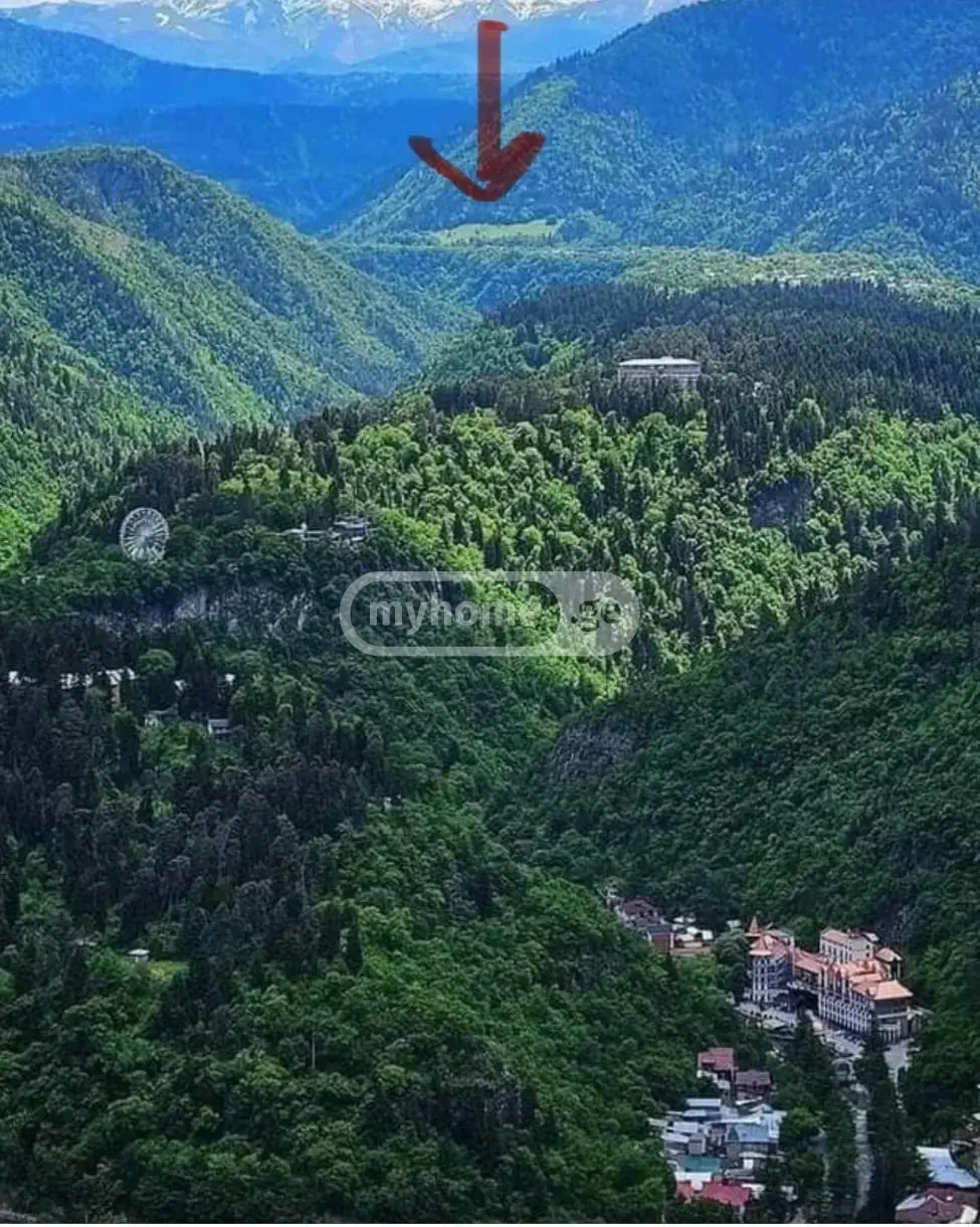 იყიდება Non-Agricultural Plot In Sadgeri, In Borjomi Municipalityში view 3