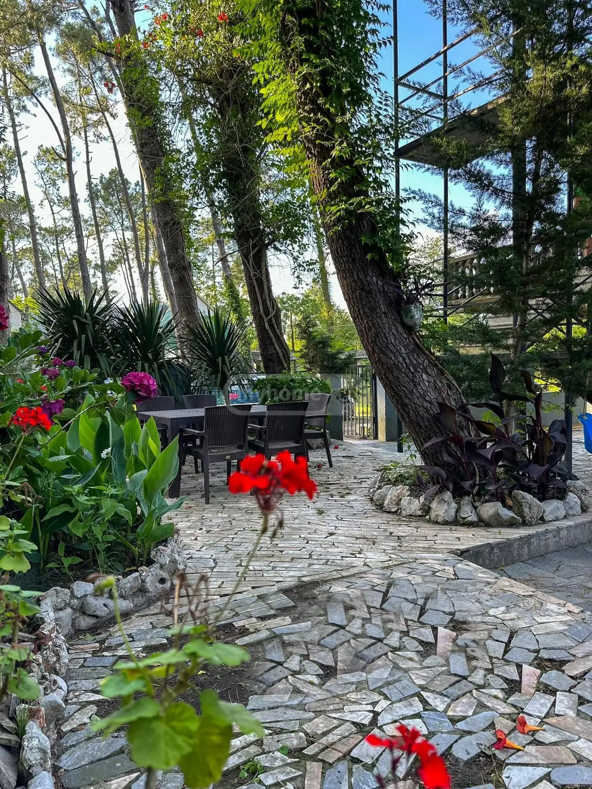 იყიდება 10+ Room Hotel In Grigoleti, In Lanchkhuti Municipalityში view 10