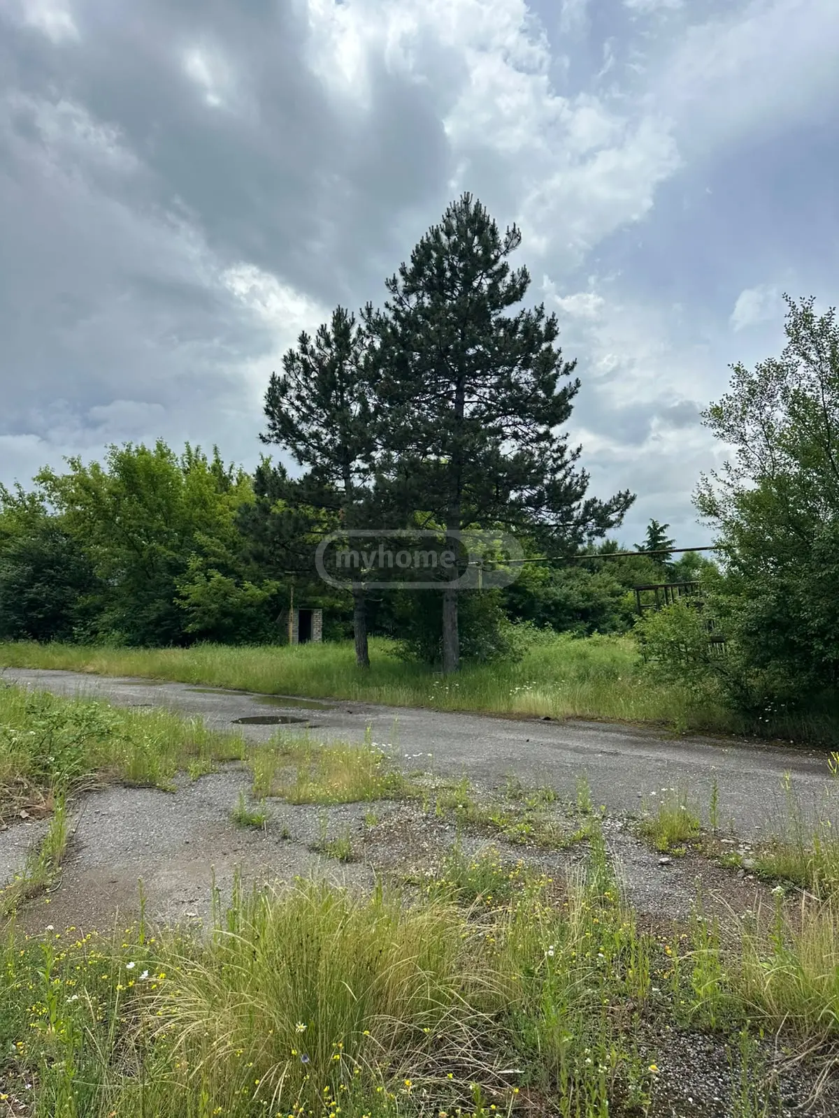 Special Commercial Area For Sale In Khashuri view 3