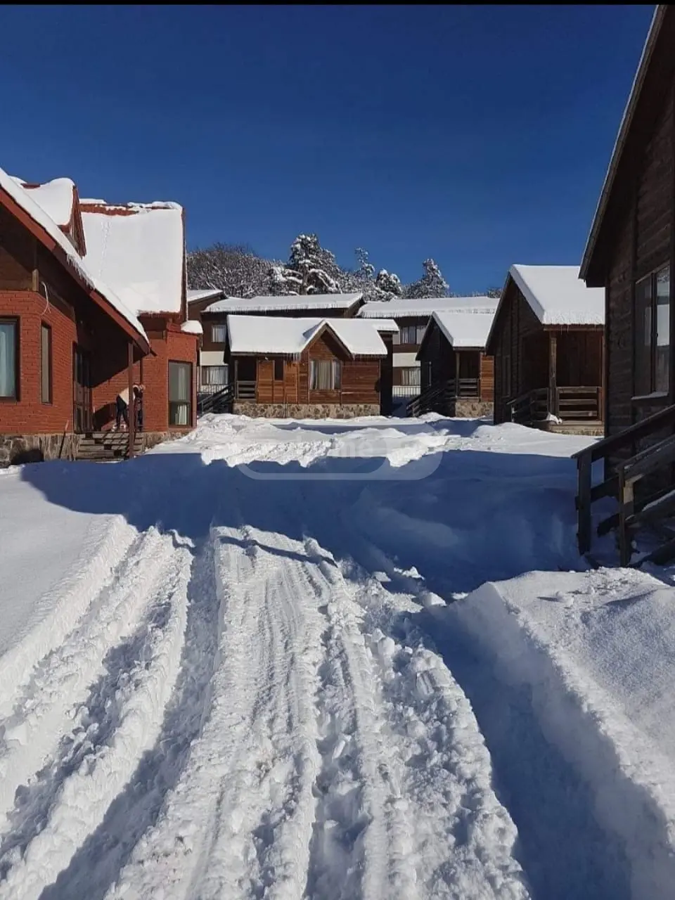 Продажа 10+ Room Country House в In Bakuriani view 3