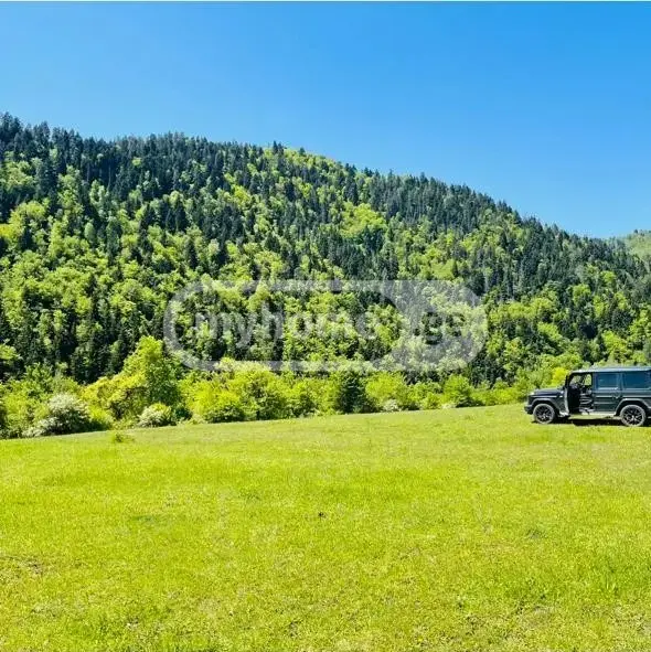 იყიდება Non-Agricultural Plot In Sadgeri, In Borjomi Municipalityში view 1