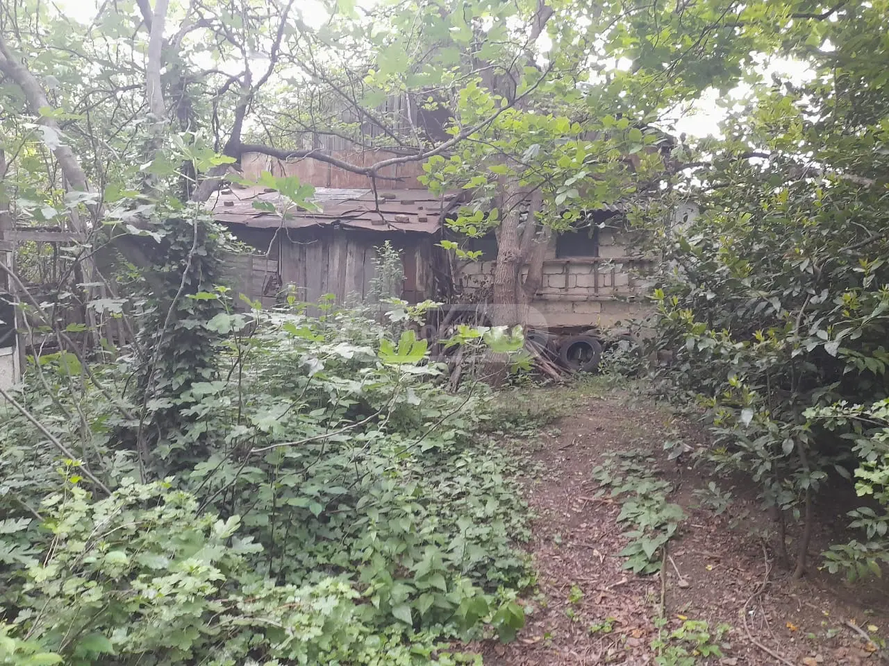Non-Agricultural Plot For Sale In Elia view 2