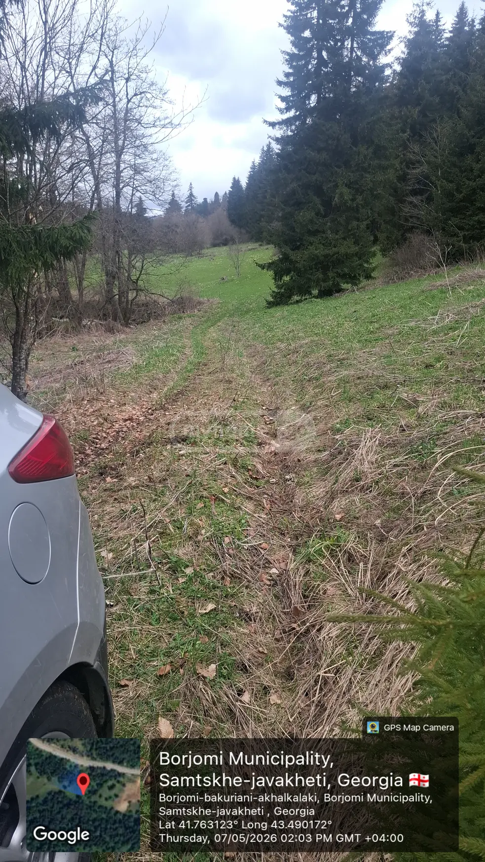 Agricultural Plot For Sale In Bakuriani view 6
