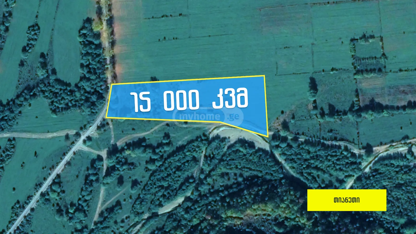 Agricultural Plot For Sale In Akhalsopeli, In Tianeti Municipality view 1
