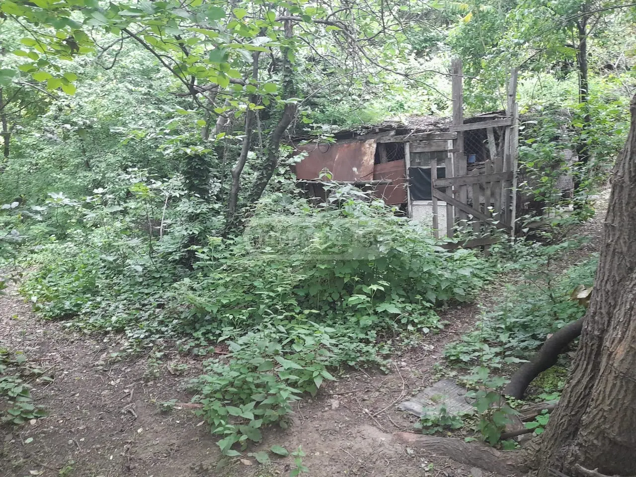 Non-Agricultural Plot For Sale In Elia view 5