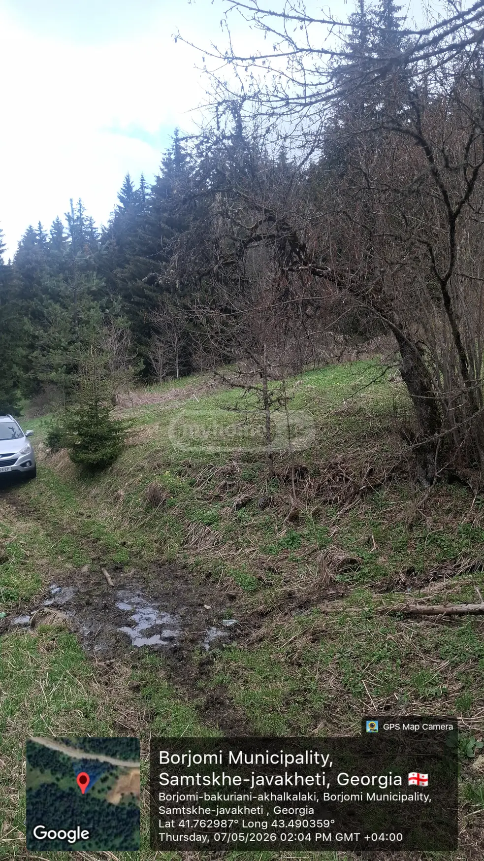 Agricultural Plot For Sale In Bakuriani view 7
