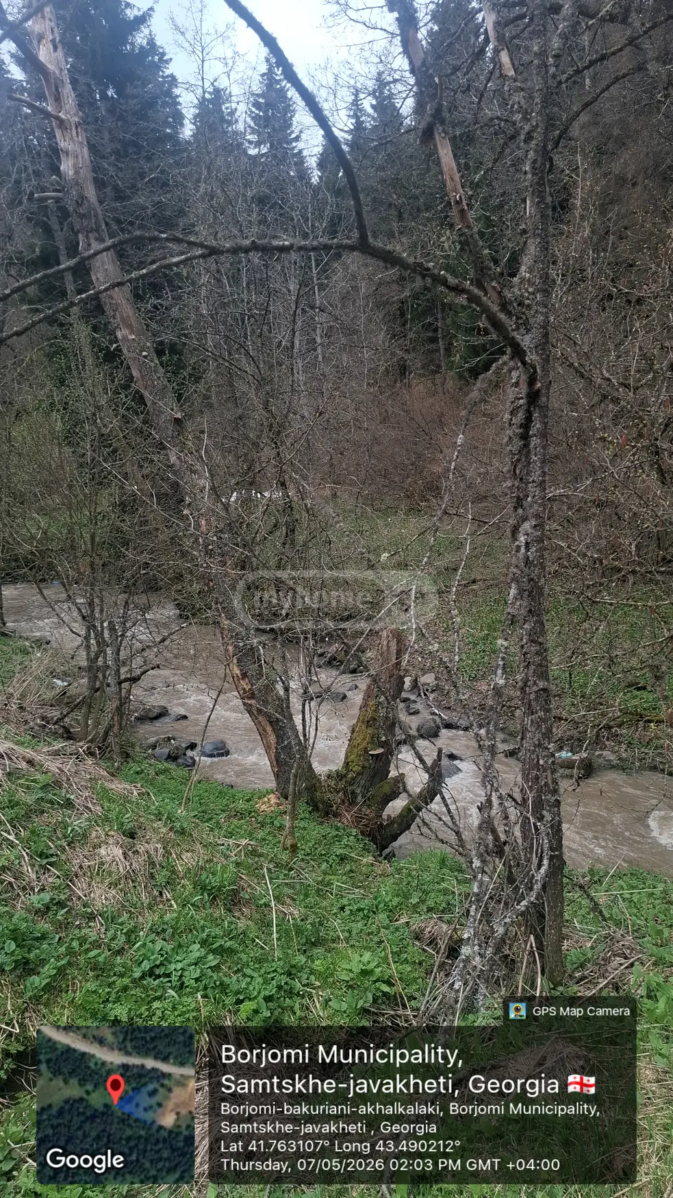 Agricultural Plot For Sale In Bakuriani view 3