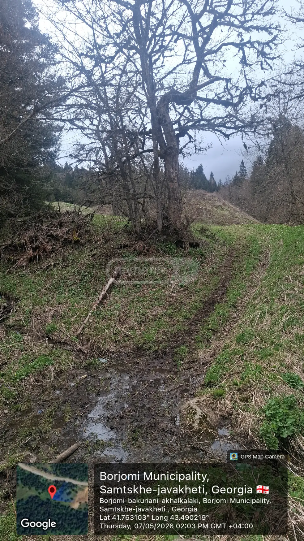 Agricultural Plot For Sale In Bakuriani view 2