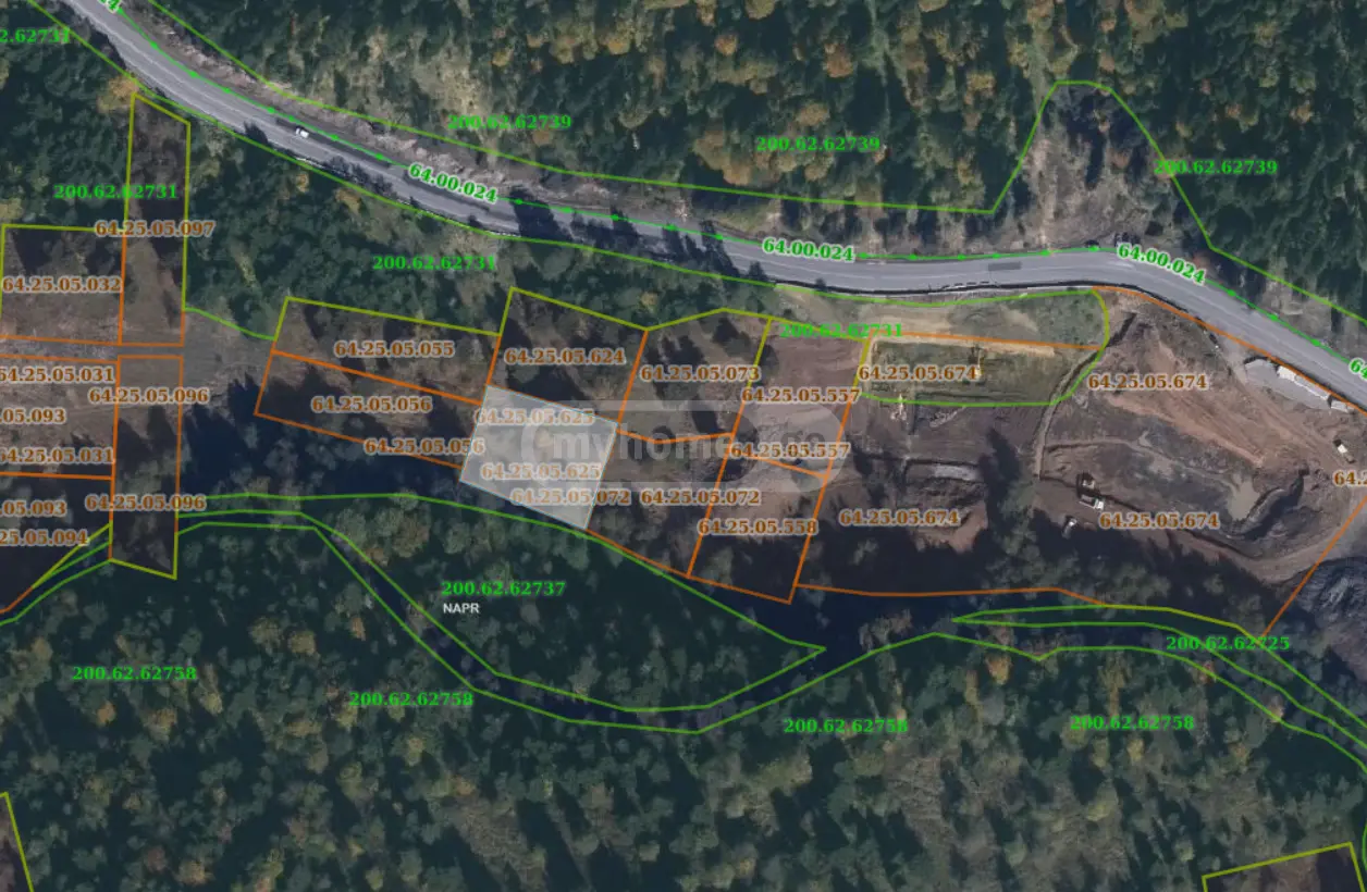 Agricultural Plot For Sale In Bakuriani view 8