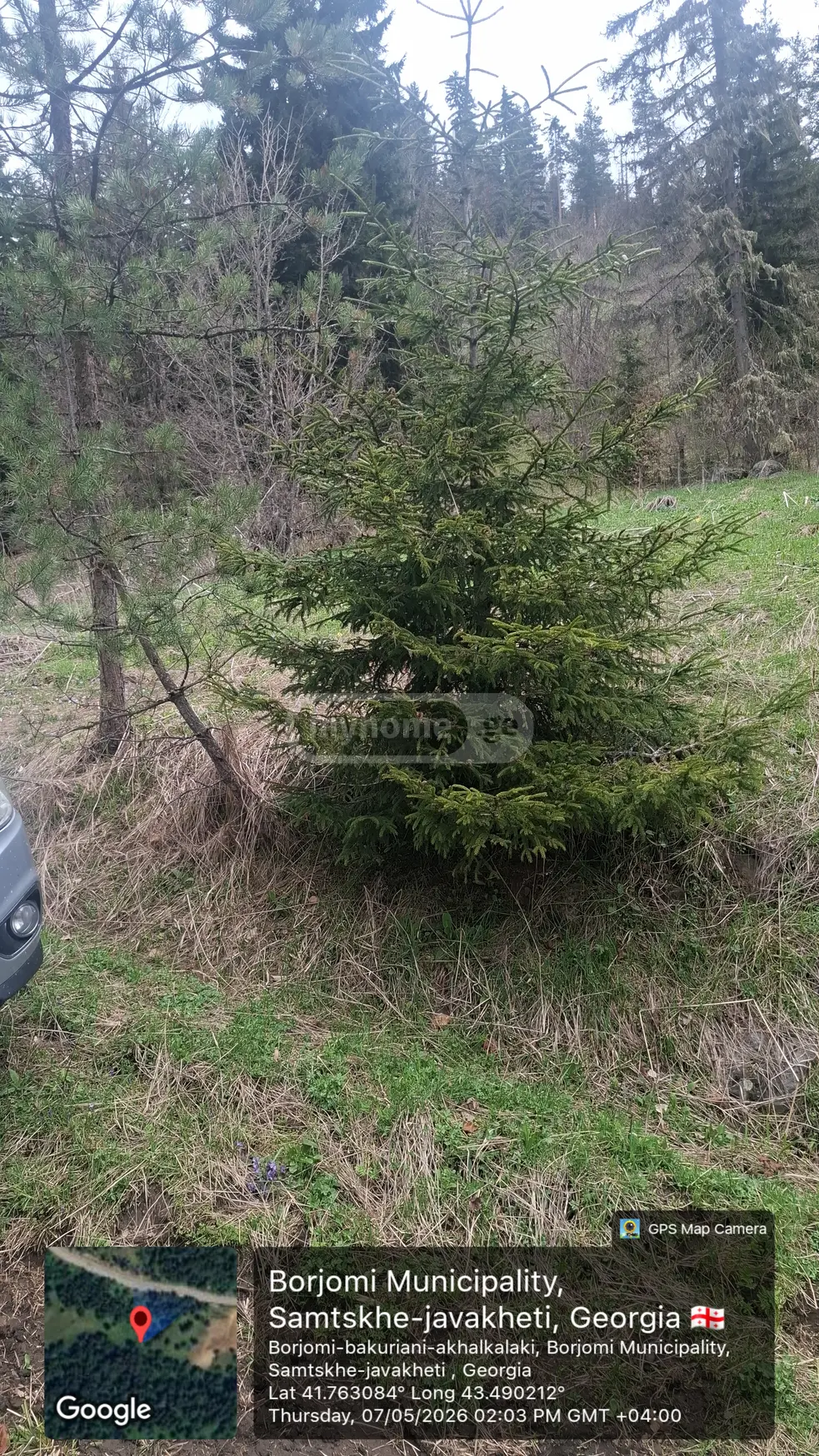 Agricultural Plot For Sale In Bakuriani view 5