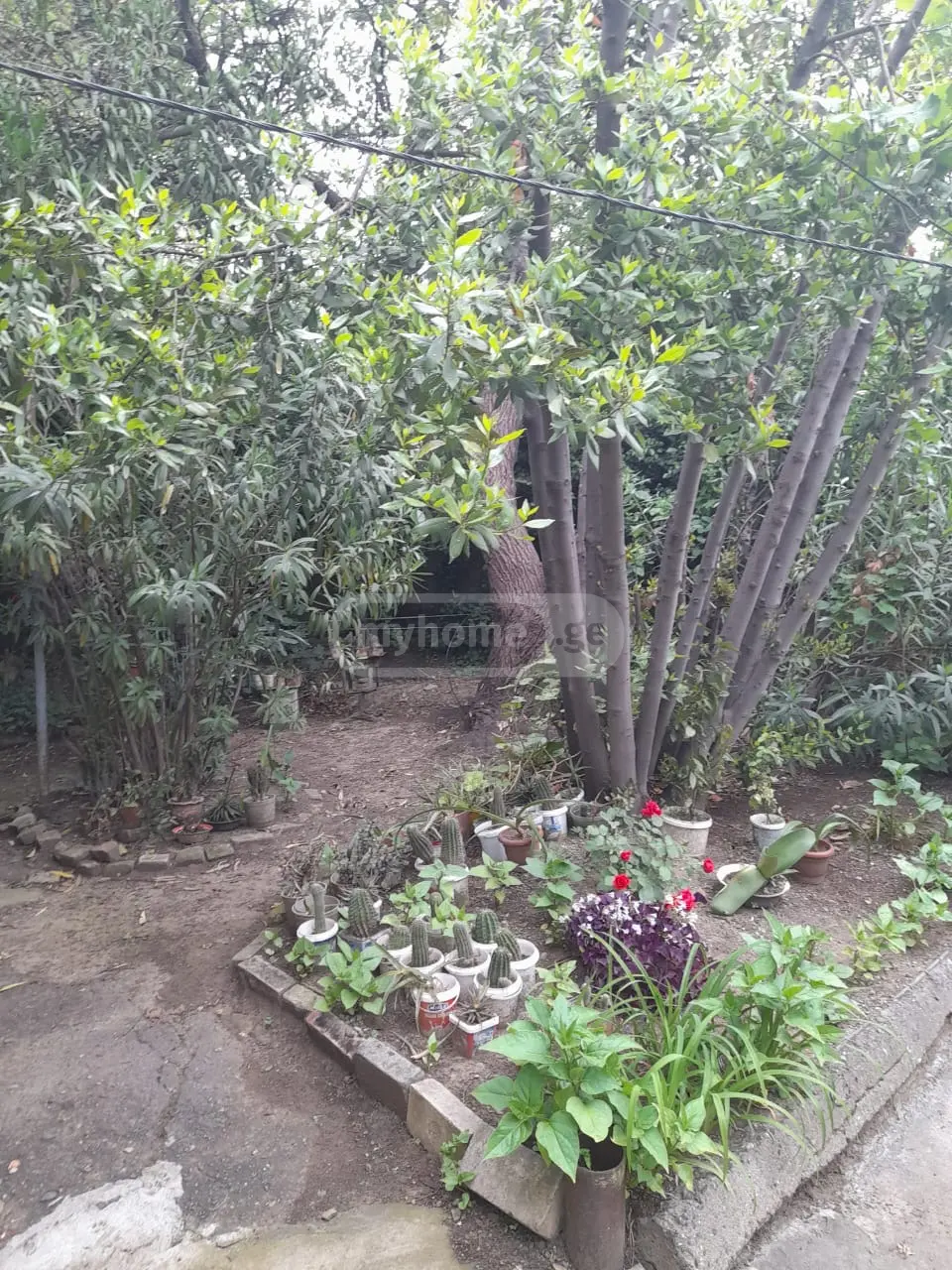 Non-Agricultural Plot For Sale In Elia view 3